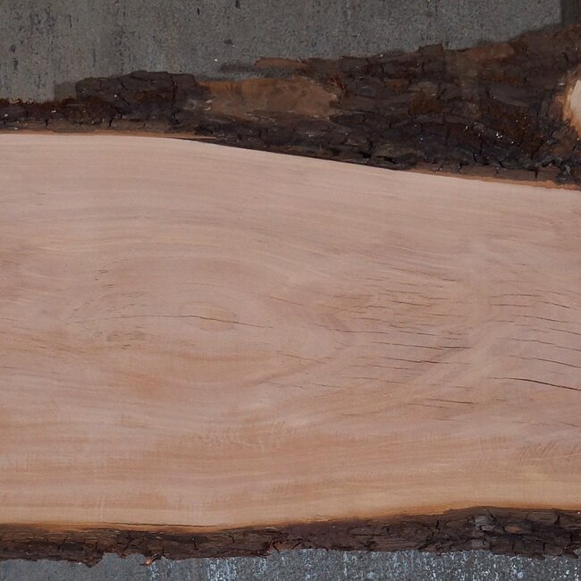 Birnbaum Bohle, ca. 2350 x 350 x 40 mm, 13606