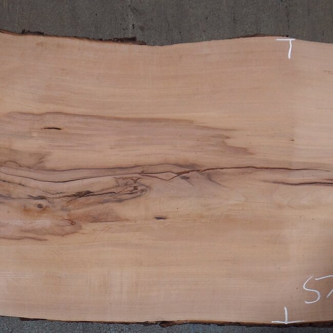 Pearwood, approx. 2350 x 480 x 40 mm, 13607