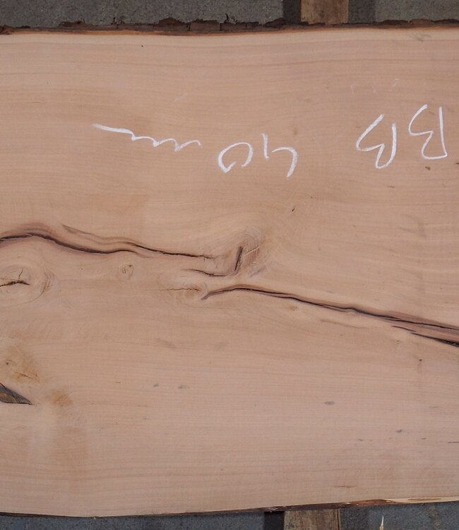 Birnbaum Bohle, ca. 2350 x 480 x 40 mm, 13607