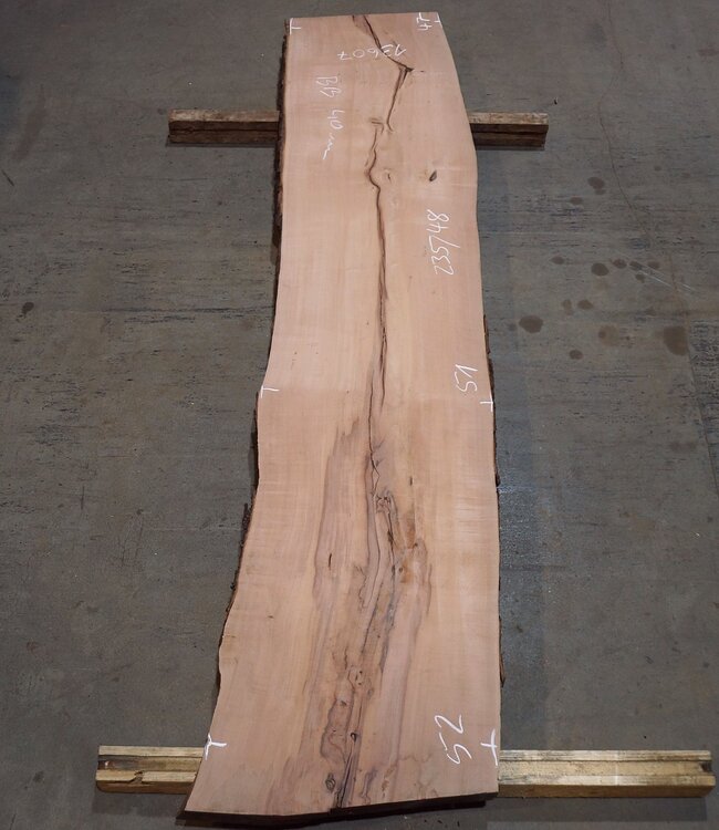 Birnbaum Bohle, ca. 2350 x 480 x 40 mm, 13607