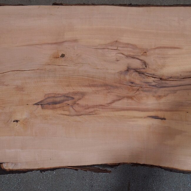 Birnbaum Bohle, ca. 2350 x 480 x 40 mm, 13607