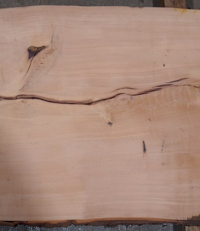 Birnbaum Bohle, ca. 2350 x 480 x 40 mm, 13607