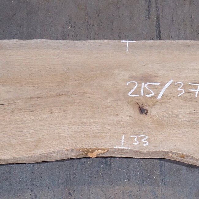 Cork oak board, approx. 2150 x 370 x 40 mm, 13608