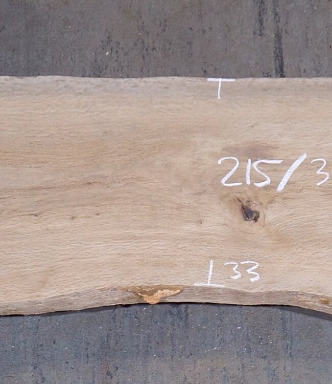 Cork oak board, approx. 2150 x 370 x 40 mm, 13608