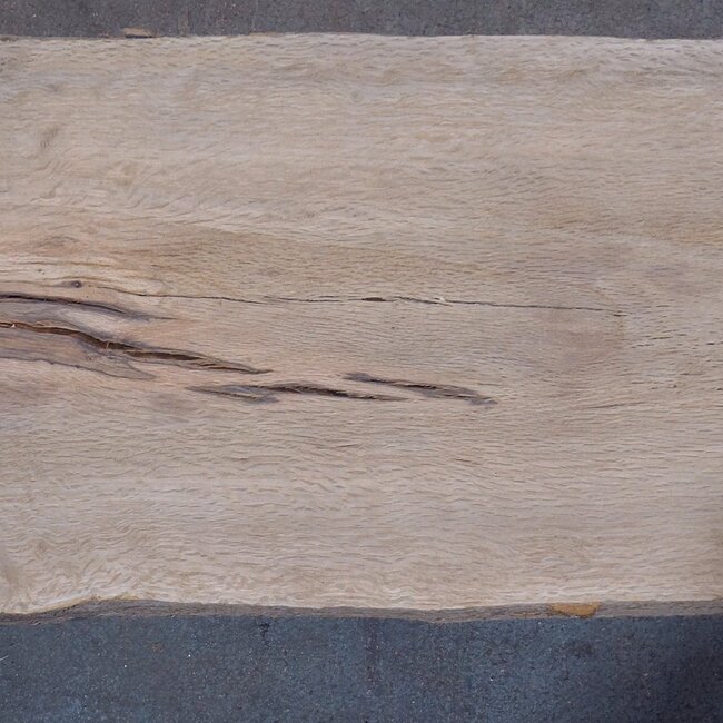 Cork oak board, approx. 2150 x 370 x 40 mm, 13608