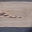 Korkeiche Bohle, ca. 2150 x 370 x 40 mm, 13608