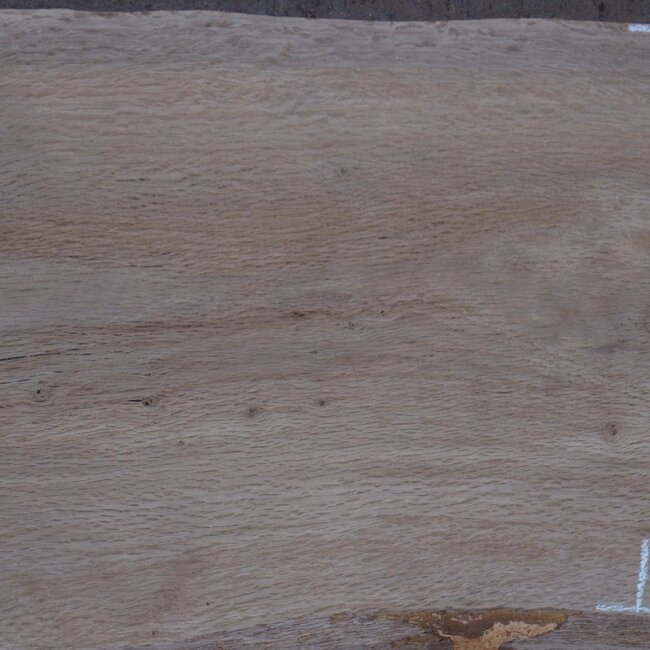 Cork oak board, approx. 2150 x 370 x 40 mm, 13608