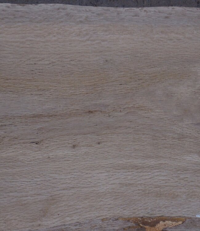 Korkeiche Bohle, ca. 2150 x 370 x 40 mm, 13608