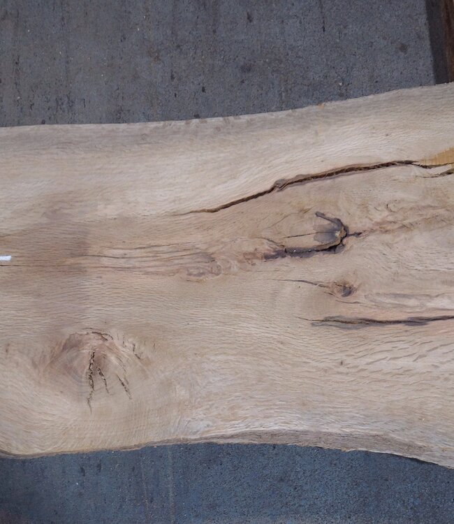 Korkeiche Bohle, ca. 2150 x 370 x 40 mm, 13608