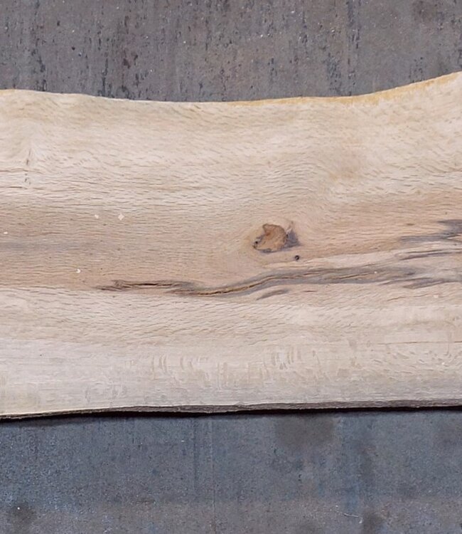 Cork oak board, approx. 2150 x 370 x 40 mm, 13608