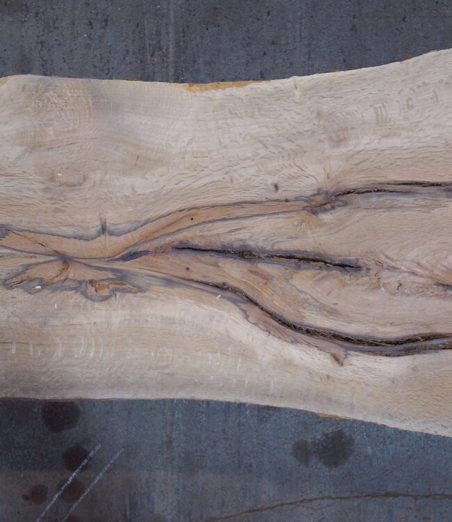 Korkeiche Bohle, ca. 2150 x 370 x 40 mm, 13608