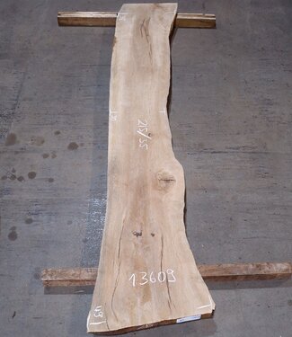 Cork oak board, approx. 2150 x 350 x 40 mm, 13609