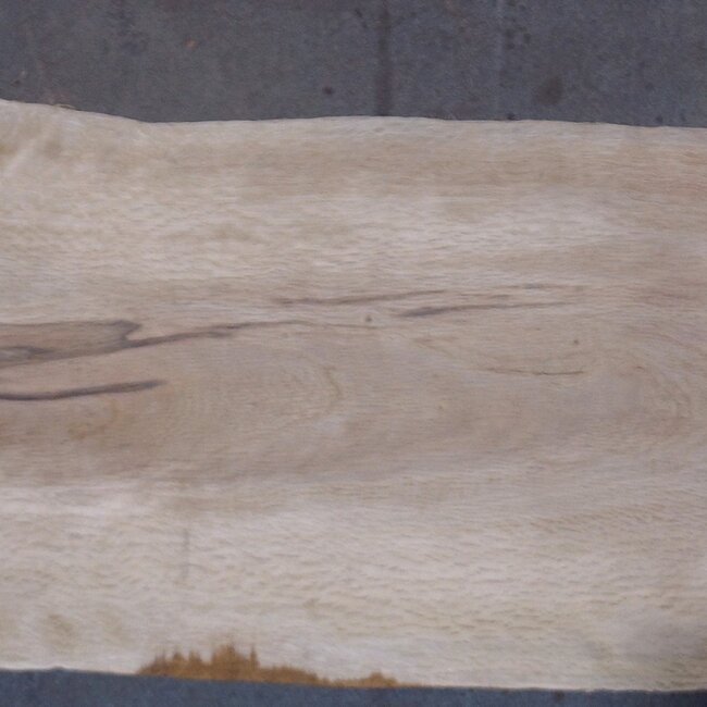 Korkeiche Bohle, ca. 2150 x 350 x 40 mm, 13609