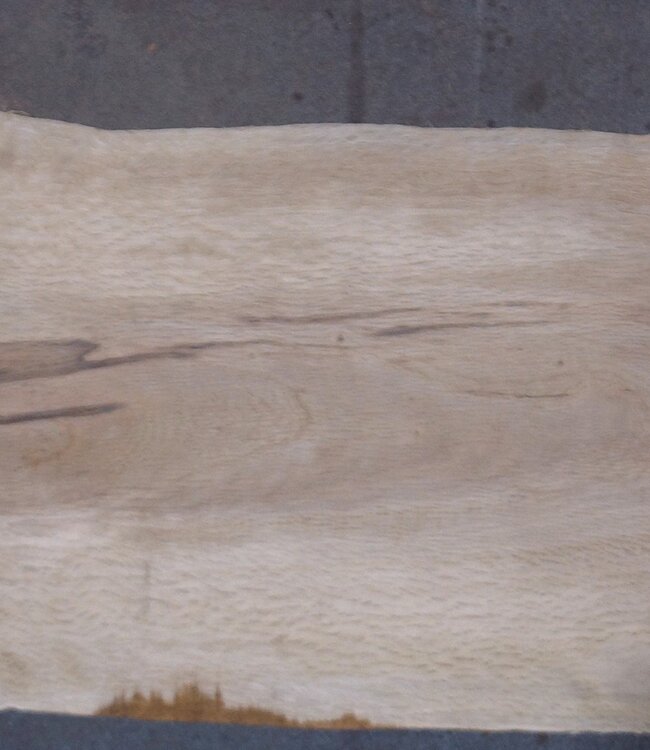 Cork oak board, approx. 2150 x 350 x 40 mm, 13609