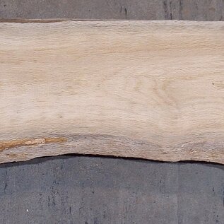 Cork oak board, approx. 2150 x 350 x 40 mm, 13609