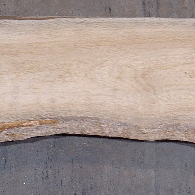 Cork oak board, approx. 2150 x 350 x 40 mm, 13609