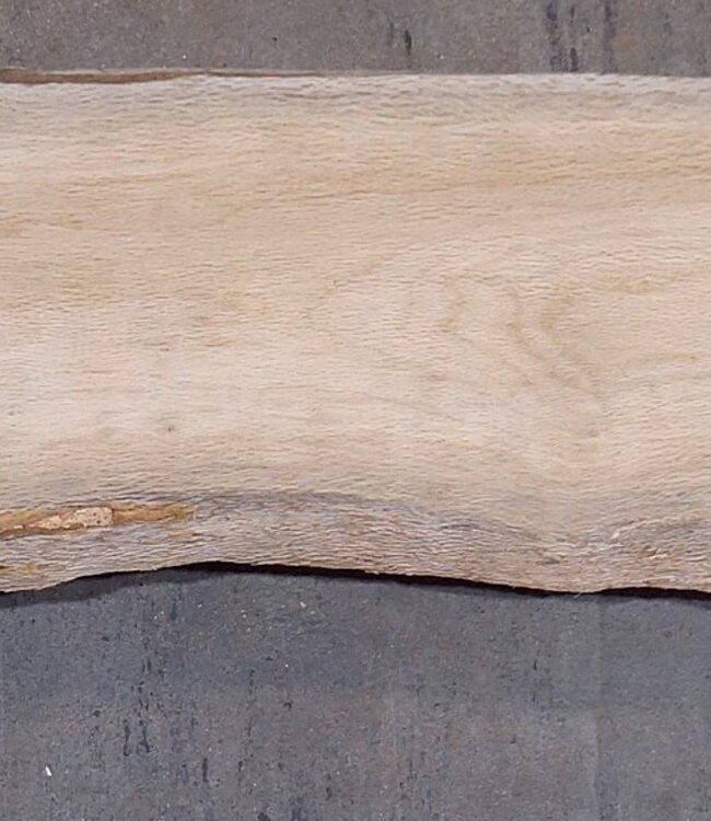 Cork oak board, approx. 2150 x 350 x 40 mm, 13609