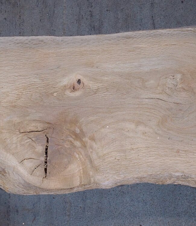 Cork oak board, approx. 2150 x 350 x 40 mm, 13609