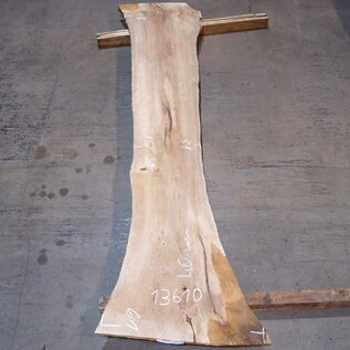 Korkeiche Bohle, ca. 2150 x 300 x 40 mm, 13610