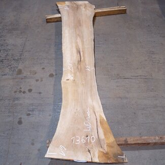 Korkeiche Bohle, ca. 2150 x 300 x 40 mm, 13610