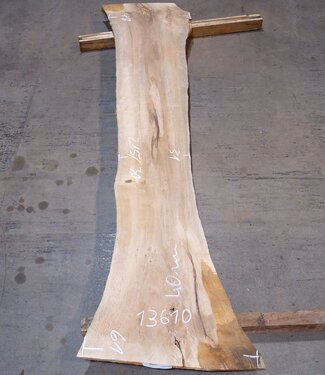 Korkeiche Bohle, ca. 2150 x 300 x 40 mm, 13610