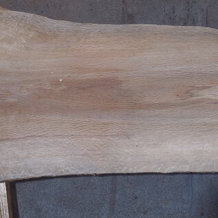 Korkeiche Bohle, ca. 2150 x 300 x 40 mm, 13610