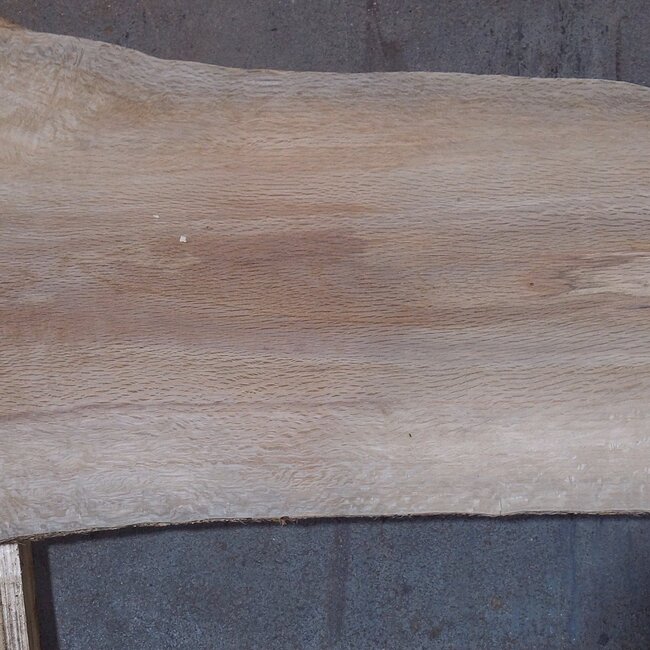 Korkeiche Bohle, ca. 2150 x 300 x 40 mm, 13610