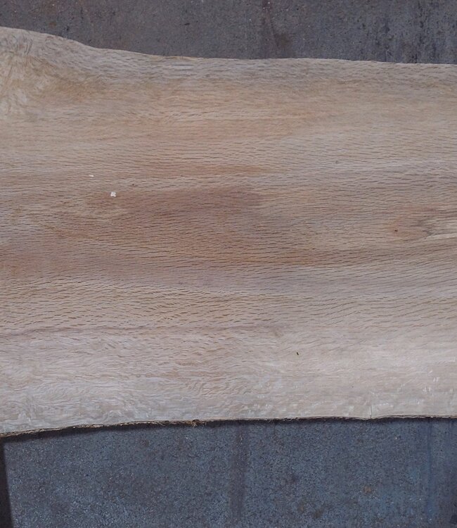 Cork oak board, approx. 2150 x 300 x 40 mm, 13610