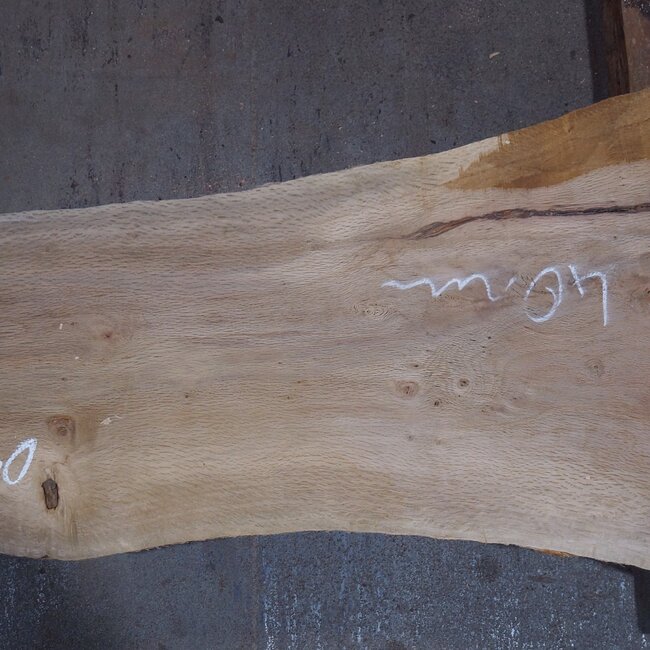 Cork oak board, approx. 2150 x 300 x 40 mm, 13610