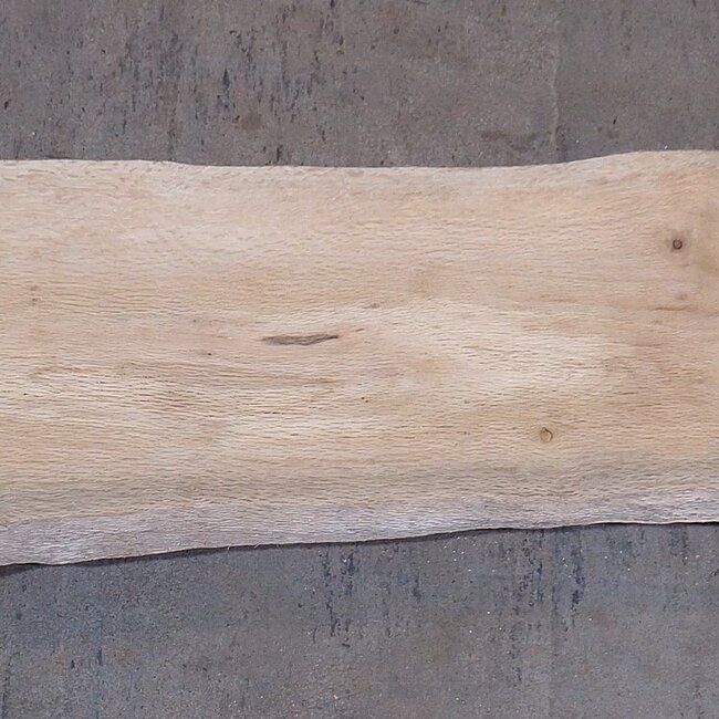 Cork oak board, approx. 2150 x 300 x 40 mm, 13610