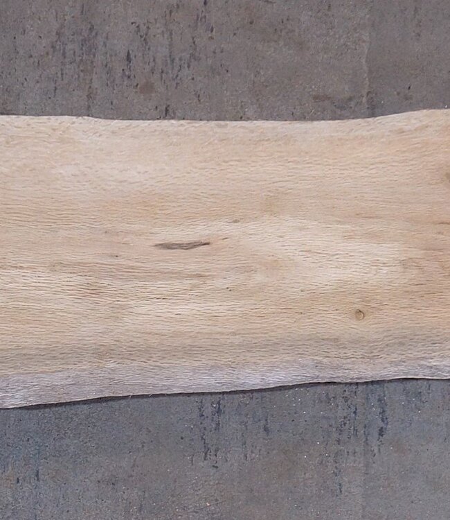 Korkeiche Bohle, ca. 2150 x 300 x 40 mm, 13610
