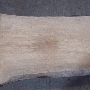 Cork oak board, approx. 2150 x 300 x 40 mm, 13610