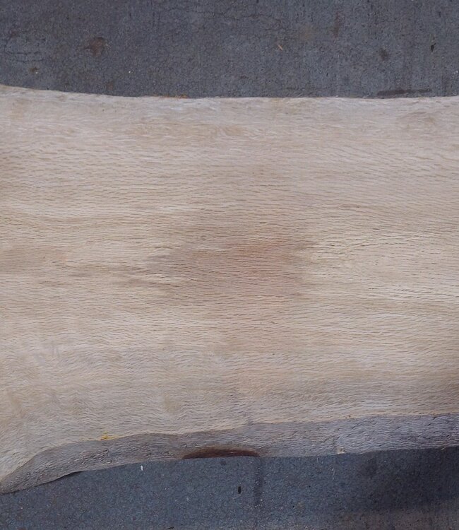 Cork oak board, approx. 2150 x 300 x 40 mm, 13610