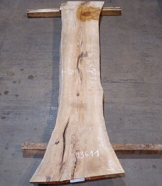 Korkeiche Bohle, ca. 2150 x 310 x 20-40 mm, 13611