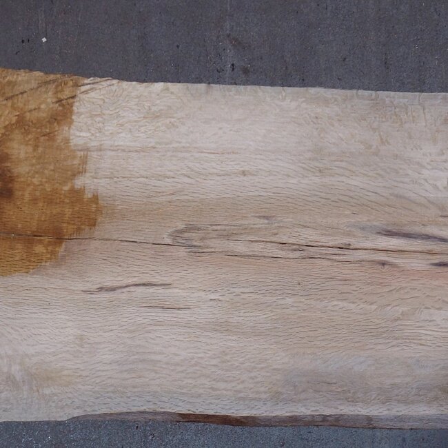 Cork oak board, approx. 2150 x 310 x 20-40 mm, 13611