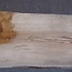 Cork oak board, approx. 2150 x 310 x 20-40 mm, 13611
