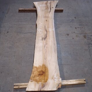 Korkeiche Bohle, ca. 2150 x 310 x 20-40 mm, 13611