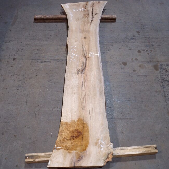 Korkeiche Bohle, ca. 2150 x 310 x 20-40 mm, 13611
