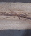 Cork oak board, approx. 2150 x 310 x 20-40 mm, 13611