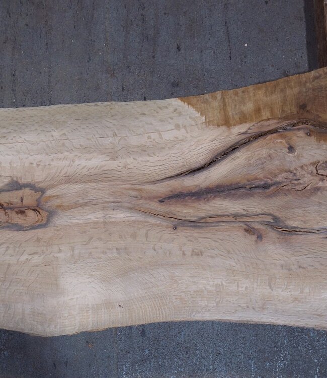 Cork oak board, approx. 2150 x 310 x 20-40 mm, 13611