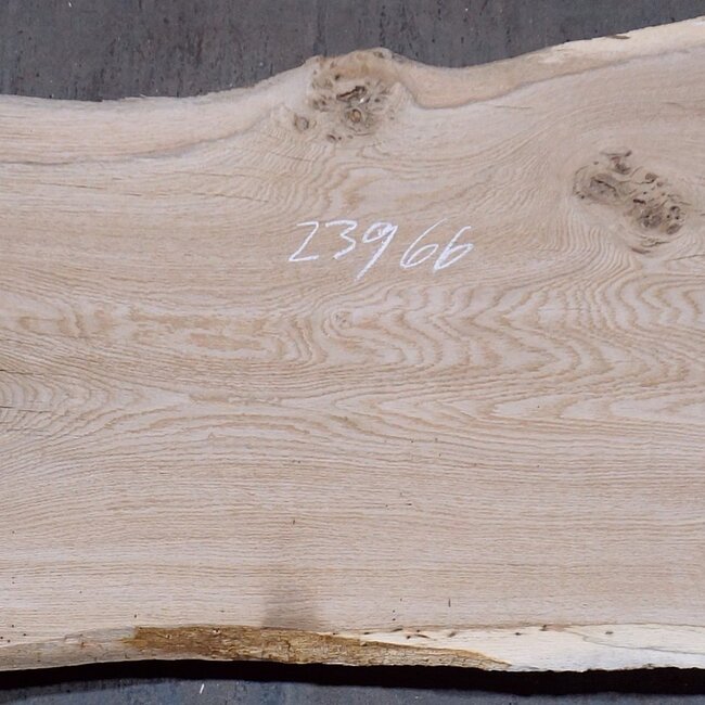 Oak table top, approx. 2300 x 660 x 60 mm, 13613