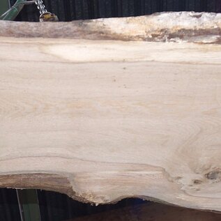 Eiche Tischplatte, ca. 2300 x 660 x 60 mm, 13613