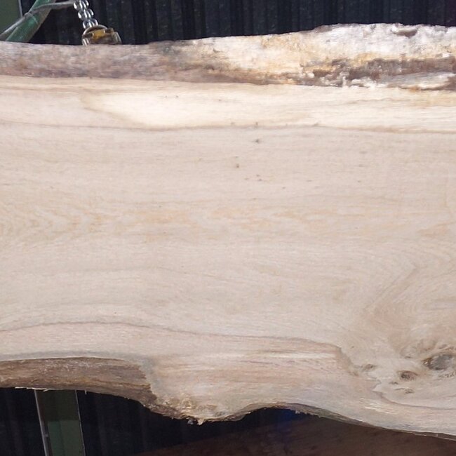 Eiche Tischplatte, ca. 2300 x 660 x 60 mm, 13613