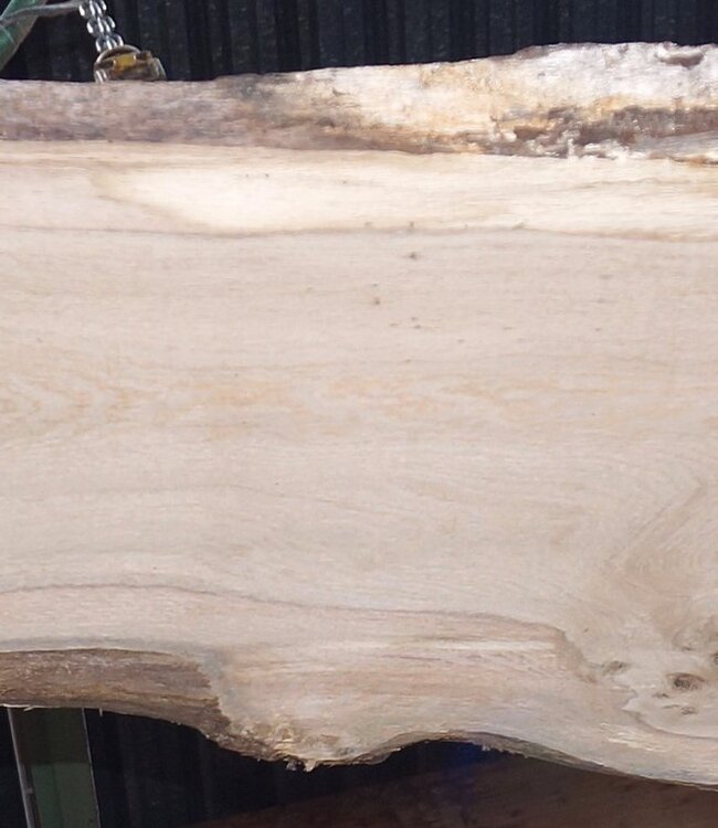 Eiche Tischplatte, ca. 2300 x 660 x 60 mm, 13613