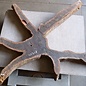 Purpleheart, star shaped slab, approx. 1470 x 1470 x 120 mm, 41218