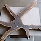 Purpleheart, star shaped slab, approx. 1470 x 1470 x 120 mm, 41218