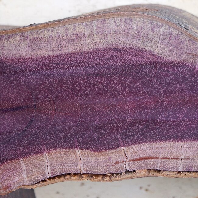 Amaranth Stern, ca. 1470 x 1470 x 120 mm, 41218