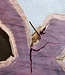 Purpleheart, star shaped slab, approx. 1280 x 1240 x 110-50 mm, 41219