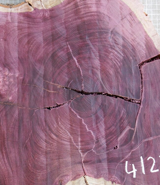 Amaranth Stern, ca. 900 x 780 x 70 mm, 41220