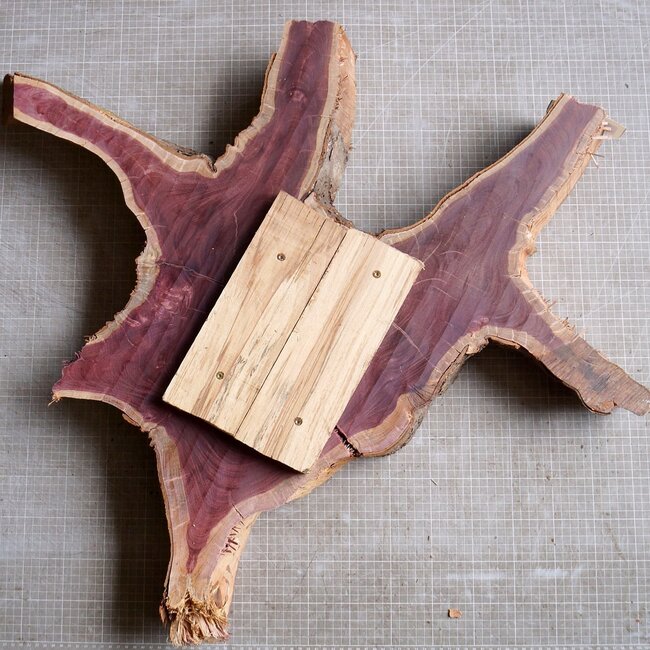 Amaranth Stern, ca. 900 x 780 x 70 mm, 41220